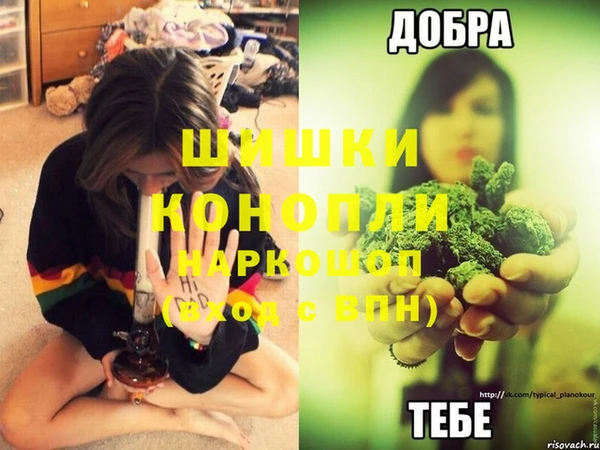 PSILOCYBIN Баксан