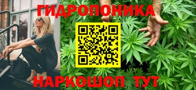 каннабис Гусь-Хрустальный