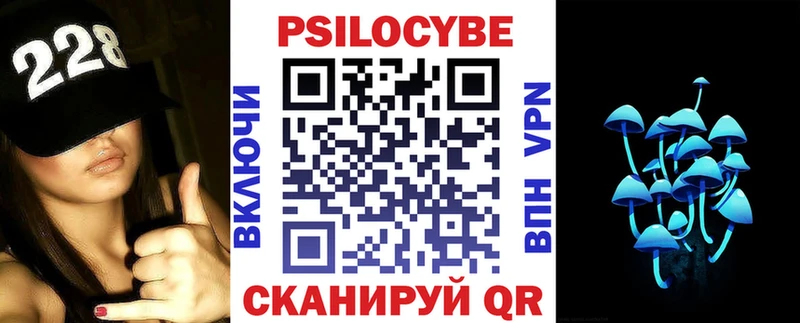 закладка  Мурманск  Псилоцибиновые грибы Psilocybe 