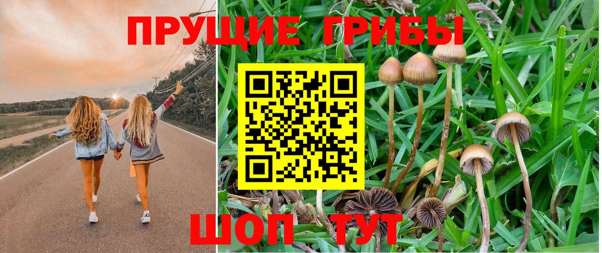 Галлюциногенные грибы мухоморы  Псилоцибиновые грибы Psilocybine cubensis  Вход с VPN  Мурманск 